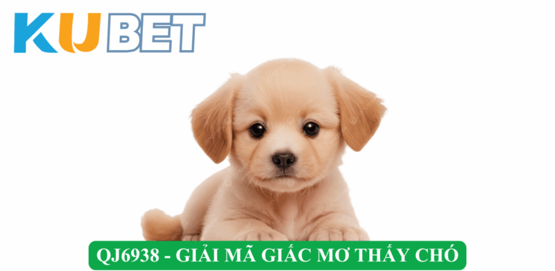QJ6938 Giải mã giấc mơ thấy chó - Ý nghĩa và con số may mắn mang đến vận may
