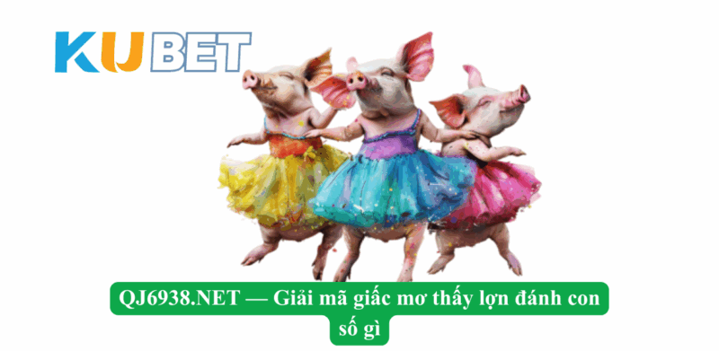 QJ6938 – Giải mã giấc mơ thấy lợn đánh con gì - Ý nghĩa đặc biệt trong phong thủy và tâm linh